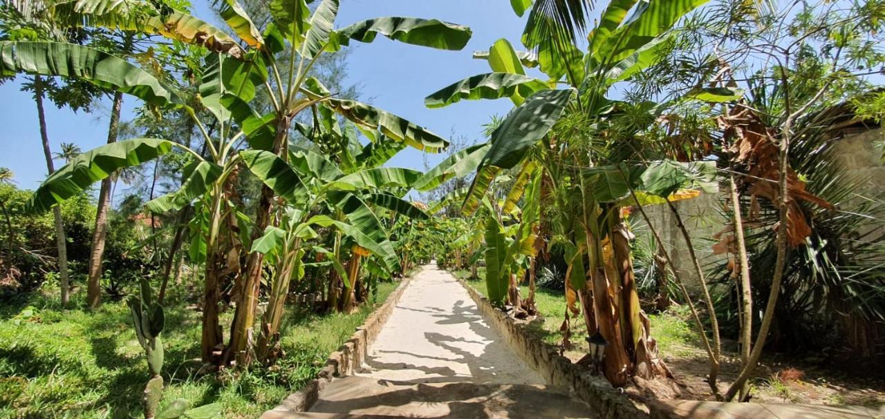 Bahati Villa Kiwengwa  Exteriör bild